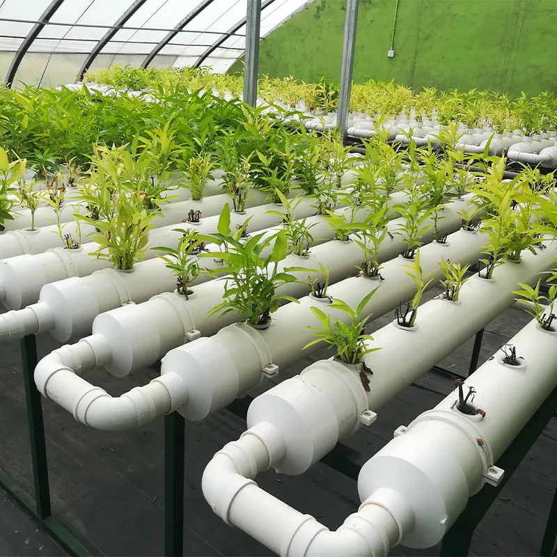 Вертикальные гидропонные установки