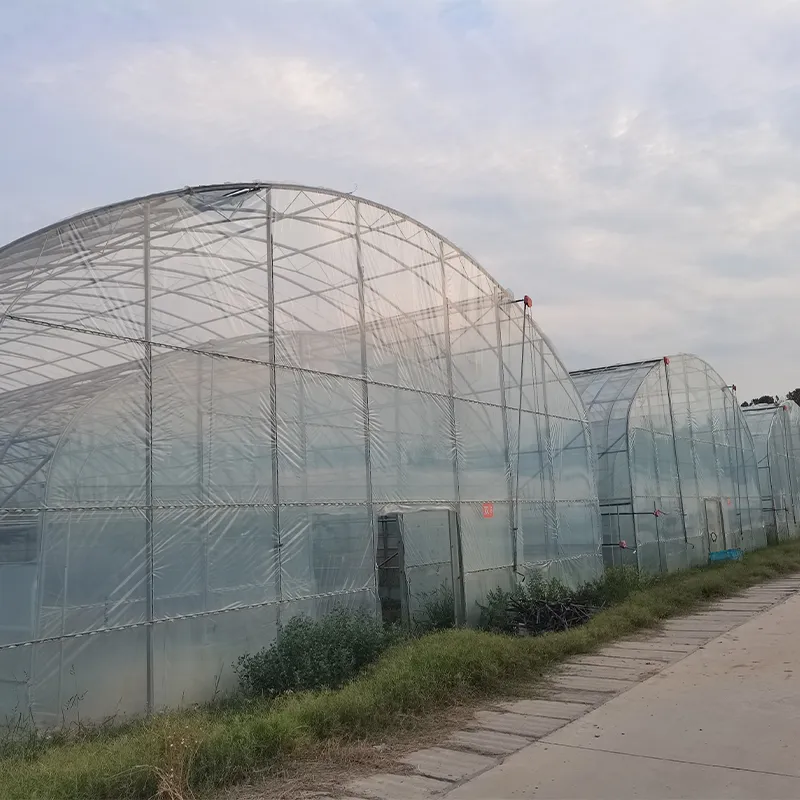 Двухарочный двухслойный одиночный парник