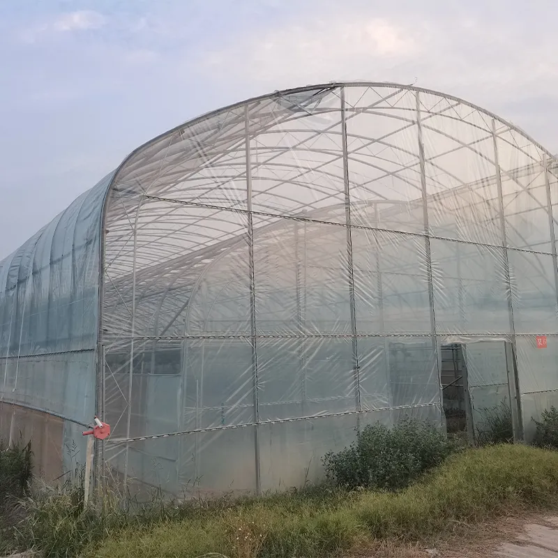 Двухарочный двухслойный одиночный парник