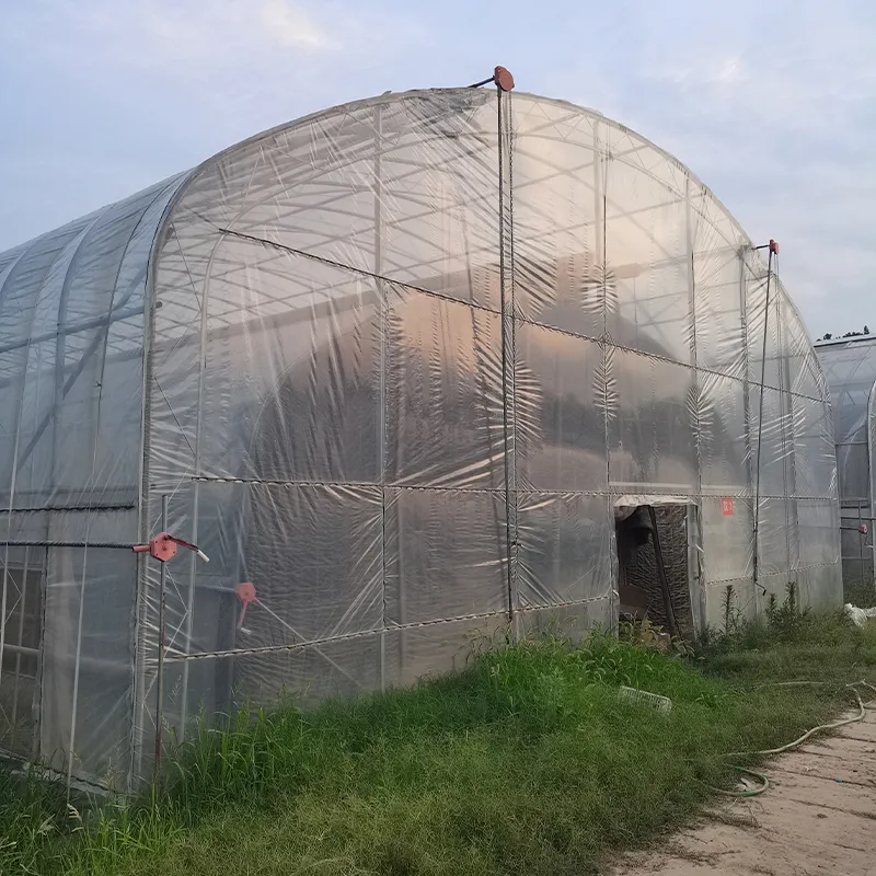 Двухарочный двухслойный одиночный парник