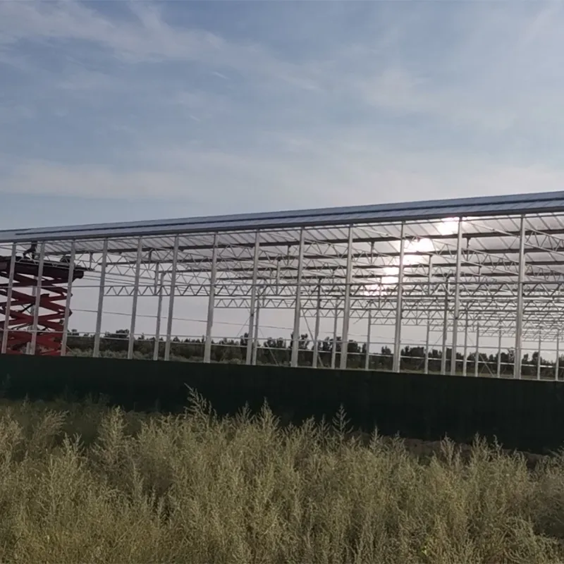 Индивидуальная теплица из 16-мм сотового поликарбоната