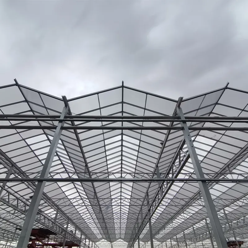 Индивидуальная теплица из 16-мм сотового поликарбоната