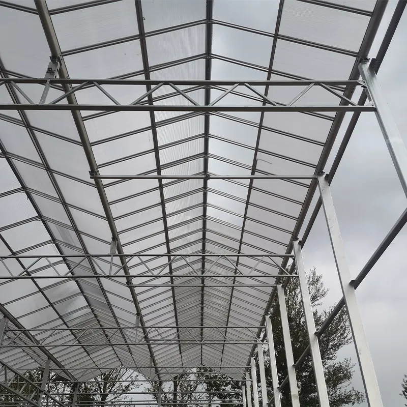 Индивидуальная теплица из 16-мм сотового поликарбоната