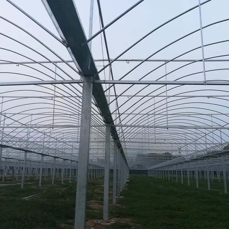 Каркасы для многопролётных арочных теплиц
