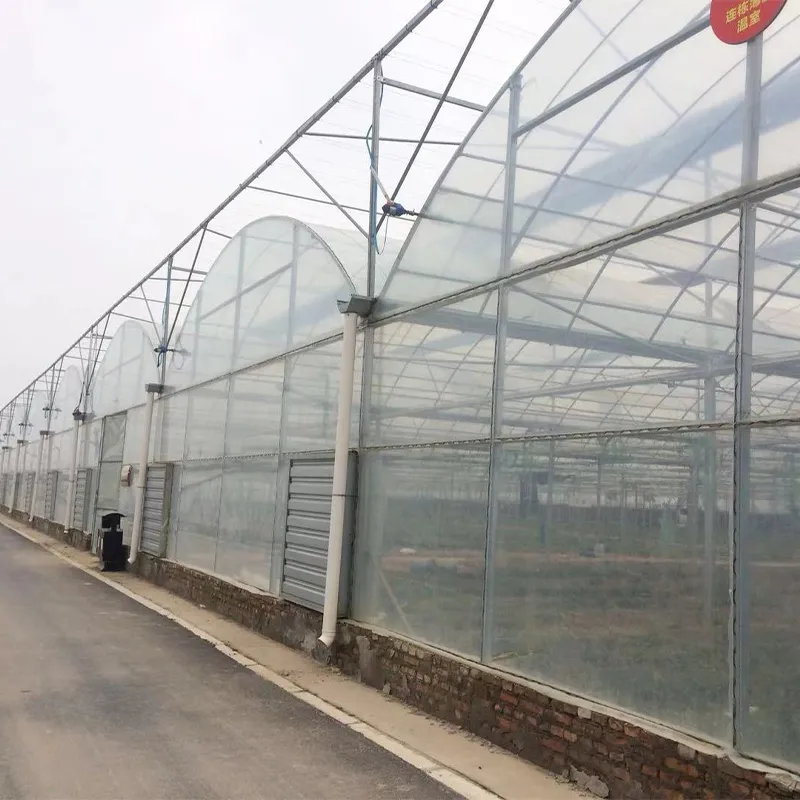 Многопролётные плёночные теплицы