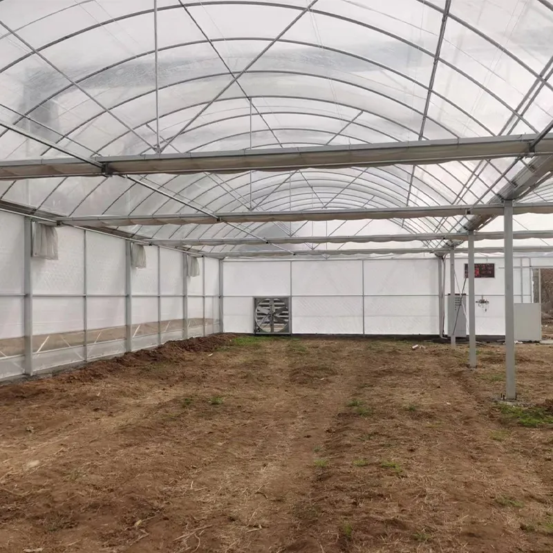 Многопролётные плёночные теплицы