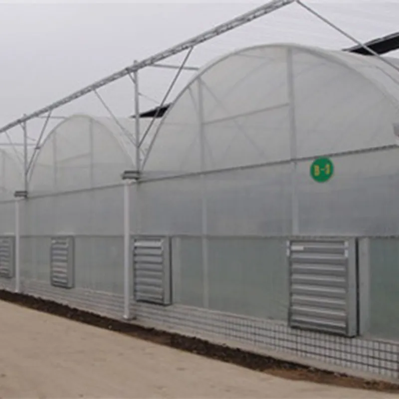 Многопролётные плёночные теплицы