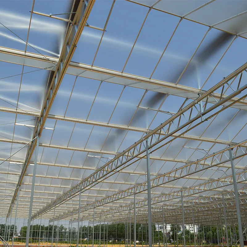 Научно-исследовательская теплица