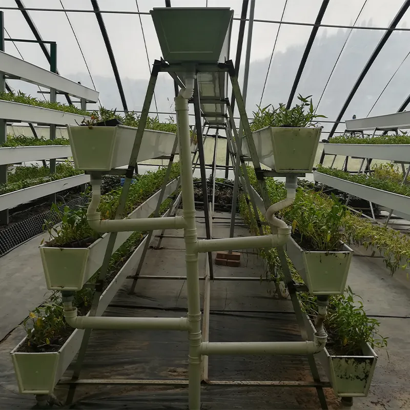 Оборудование для посадки a-образной гидропонной установки