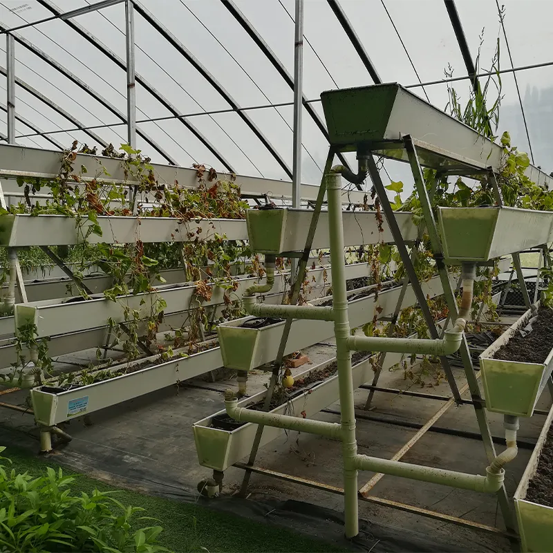 Оборудование для посадки a-образной гидропонной установки