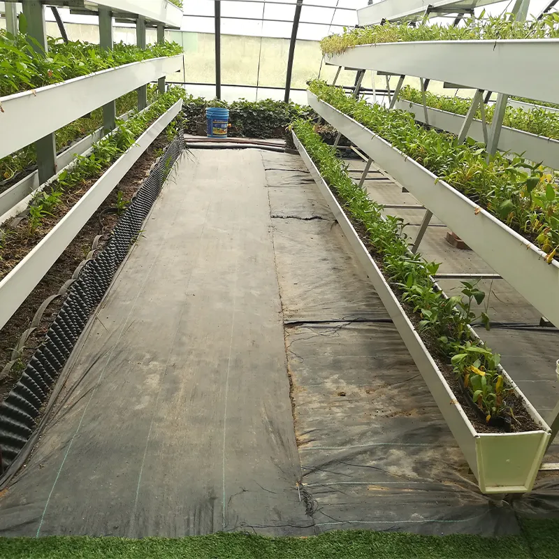 Оборудование для посадки a-образной гидропонной установки