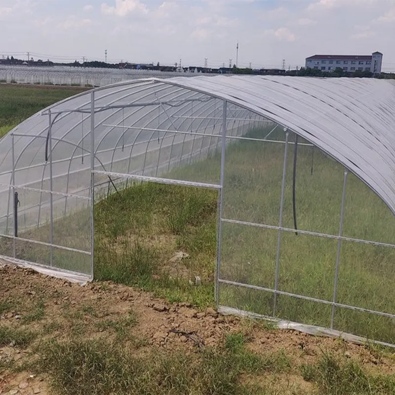 Одиночный парник с остроконечной крышей