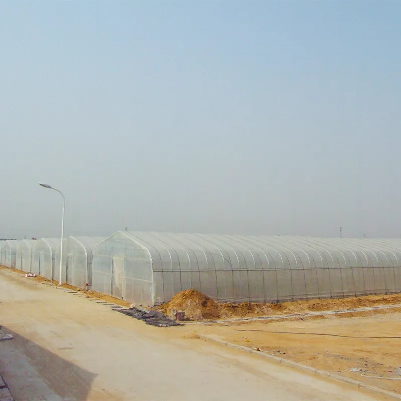 Одиночный парник с остроконечной крышей