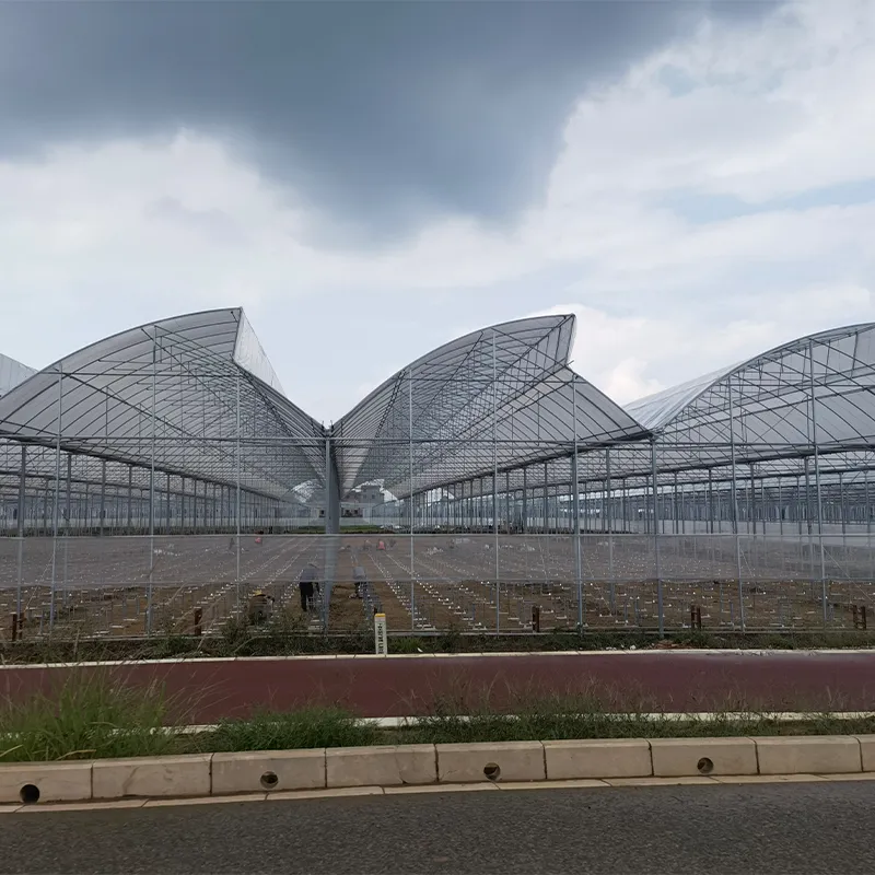 Пилообразные плёночные теплицы