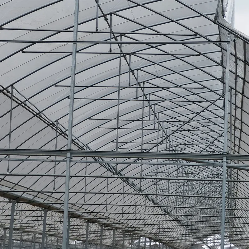 Пилообразные плёночные теплицы