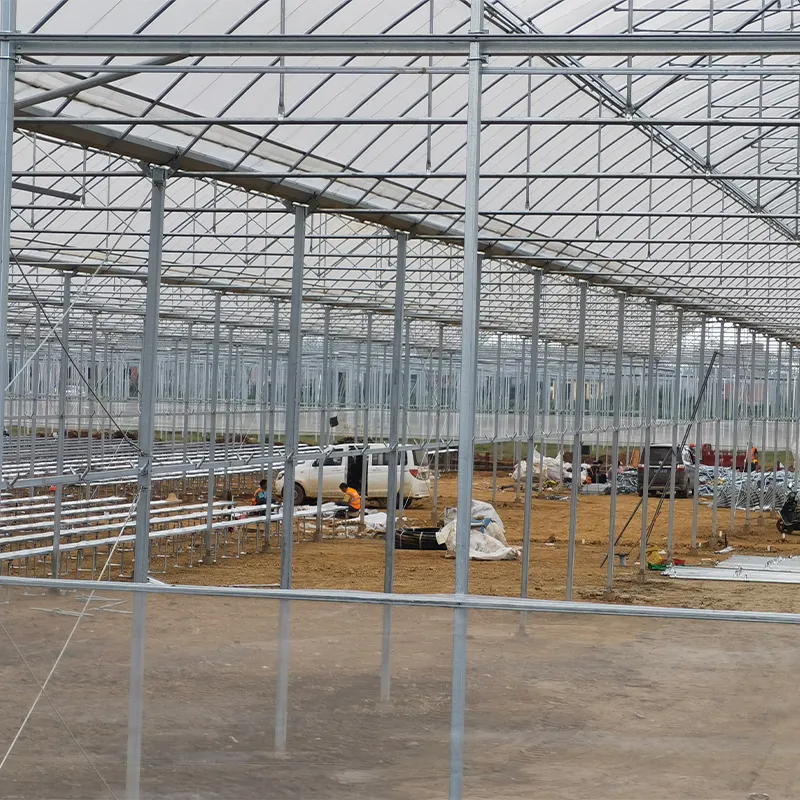 Пилообразные плёночные теплицы