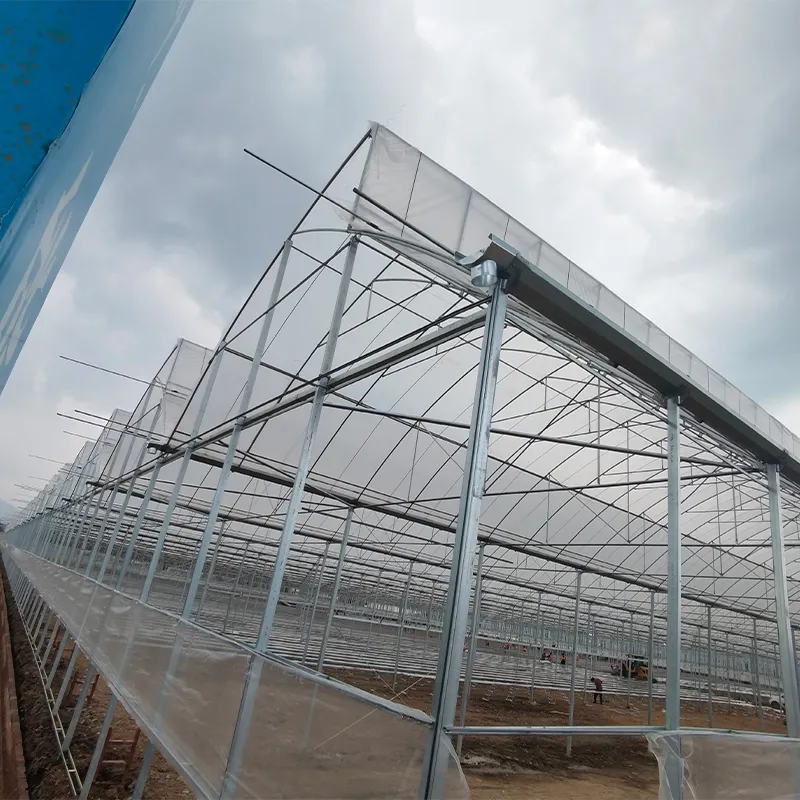 Пилообразные плёночные теплицы