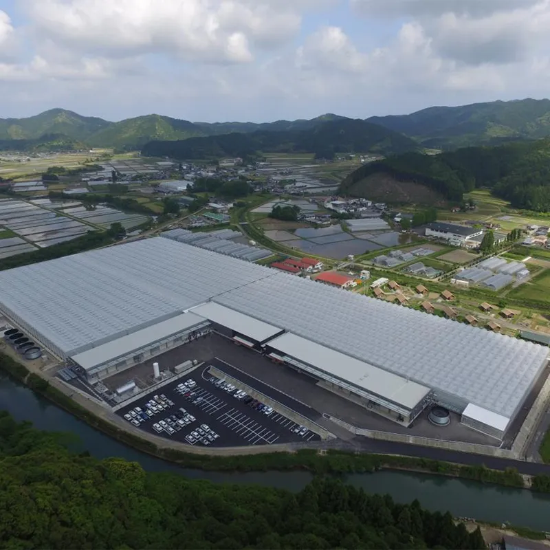 Плёночная теплица с алюминиевым водостоком