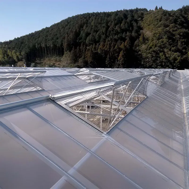 Плёночная теплица с алюминиевым водостоком
