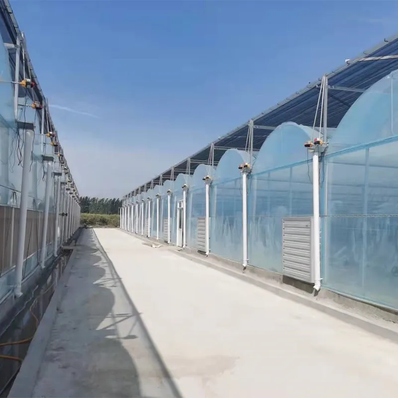 Плёночные арочные теплицы