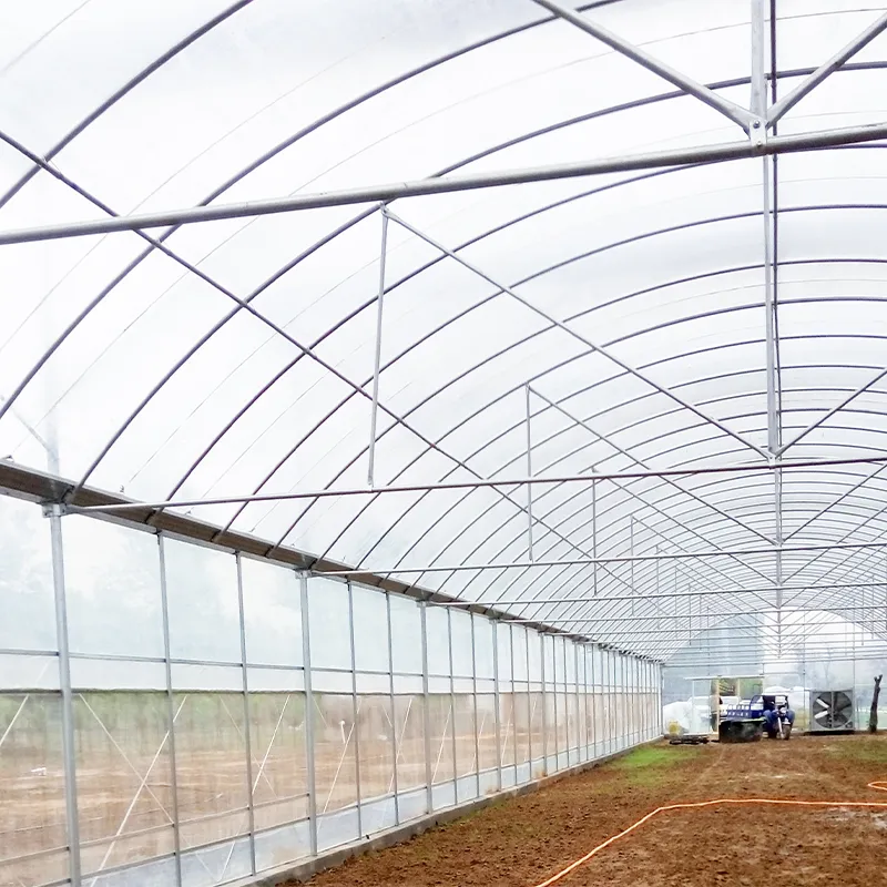 Плёночные арочные теплицы