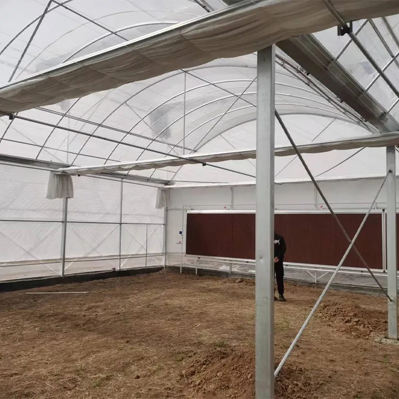 Плёночные арочные теплицы