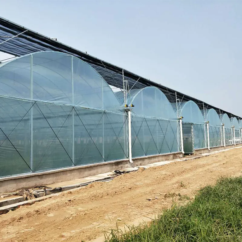 Плёночные многопролётные теплицы