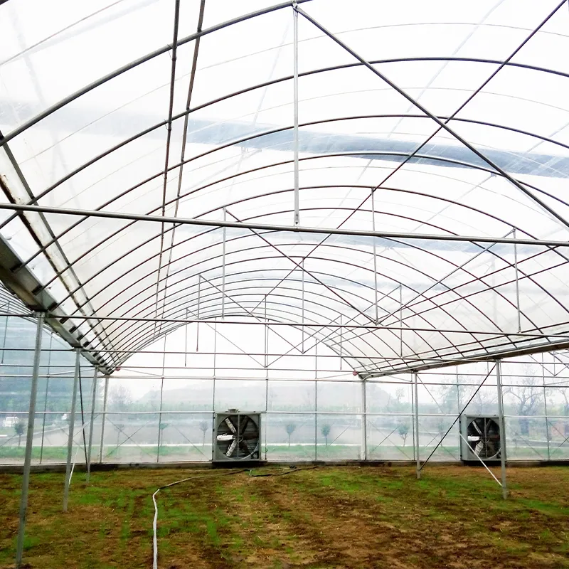 Плёночные многопролётные теплицы