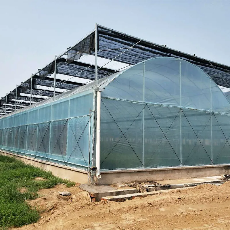 Плёночные многопролётные теплицы