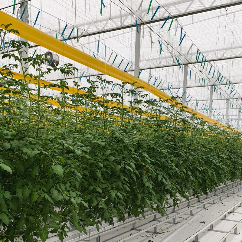 Подвесные системы выращивания