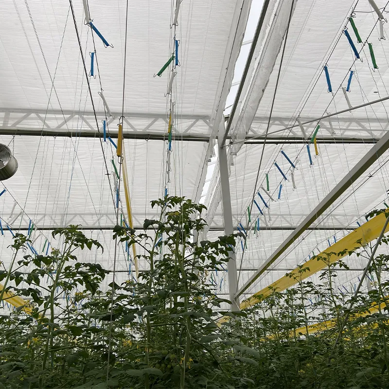 Подвесные системы выращивания