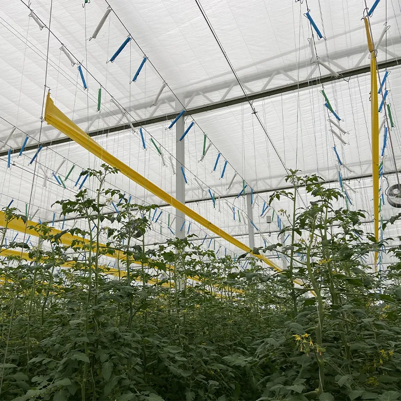 Подвесные системы выращивания