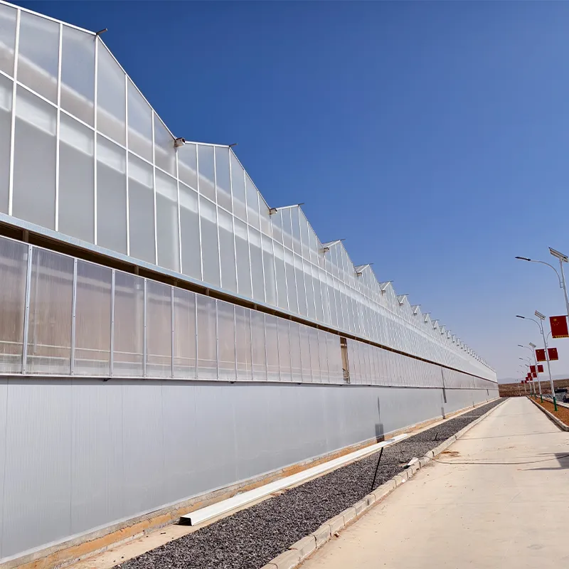 Полузакрытая теплица