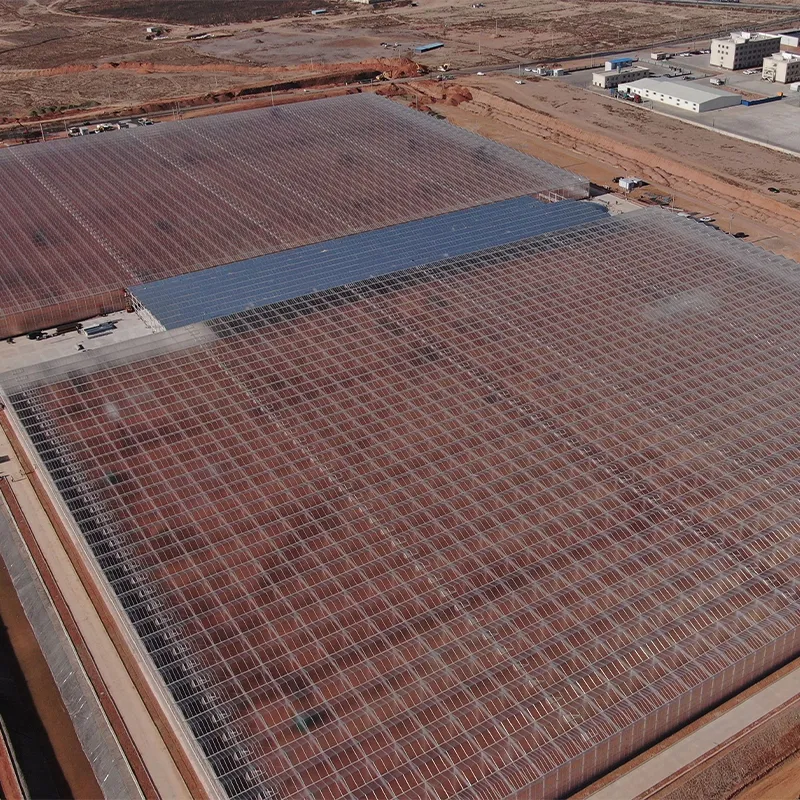 Полузакрытая теплица