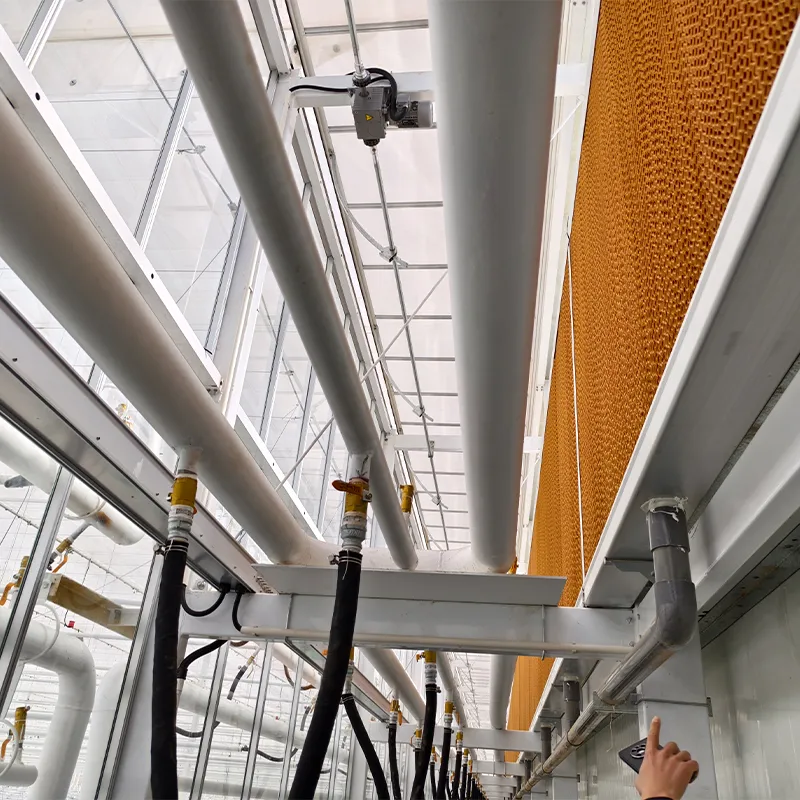 Полузакрытая теплица