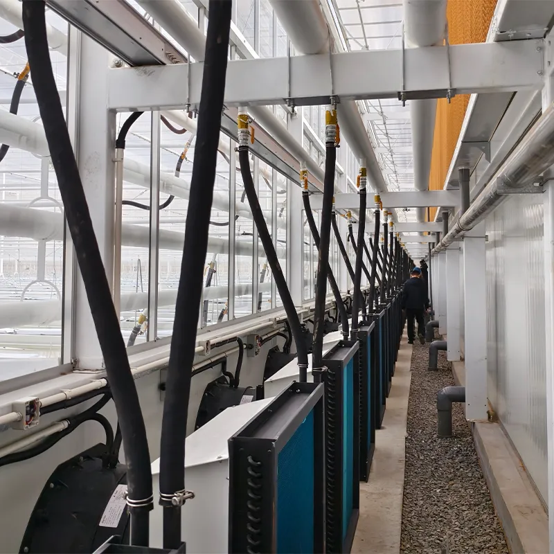 Полузакрытая теплица