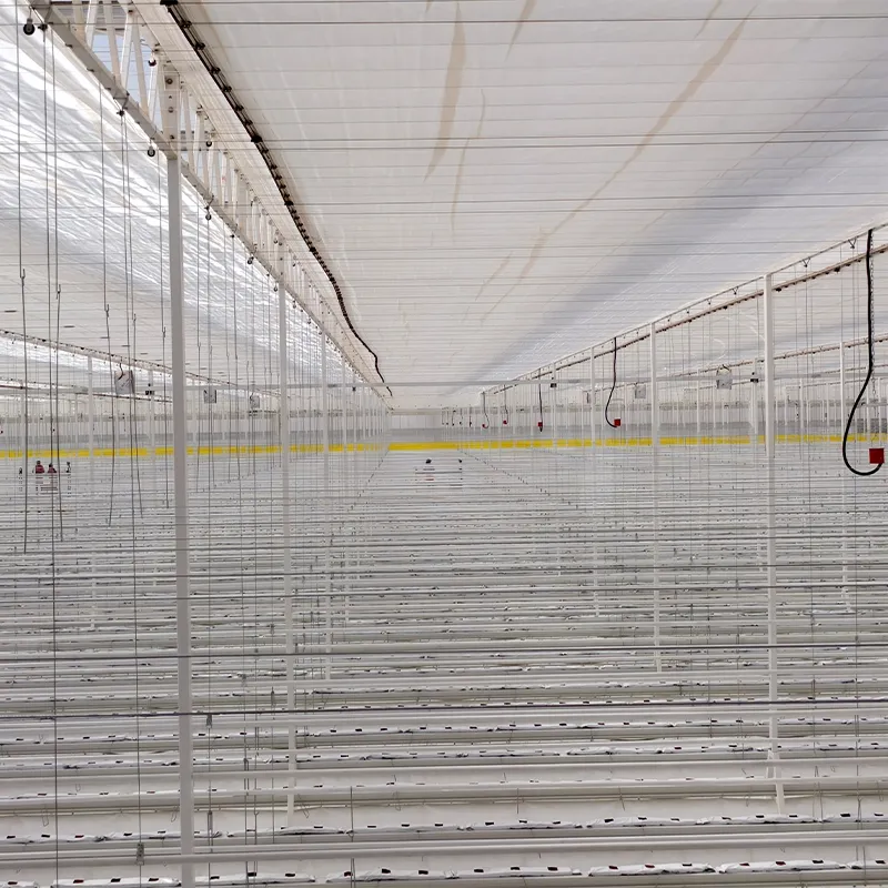 Полузакрытая теплица