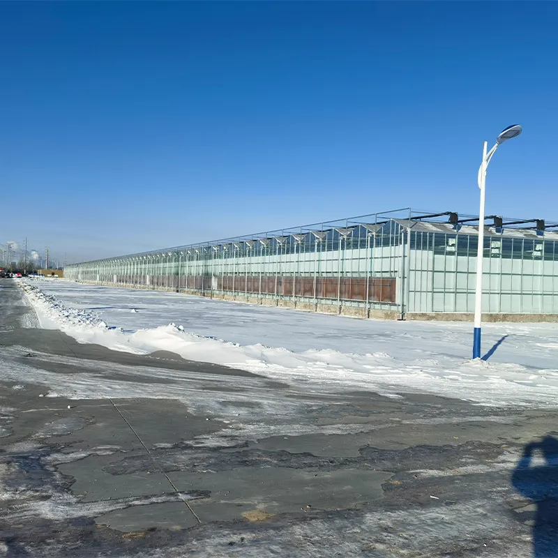 Различные типы теплиц для выращивания