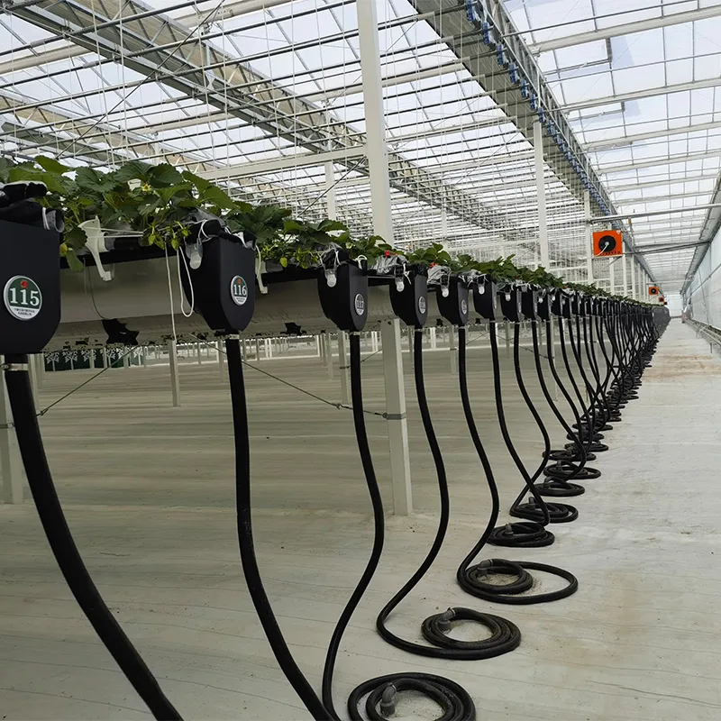 Различные типы теплиц для выращивания