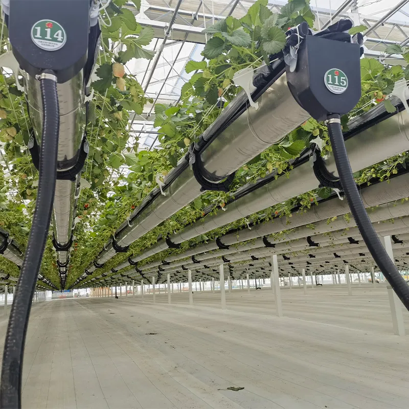 Различные типы теплиц для выращивания