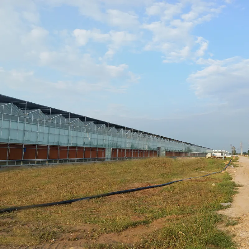 Различные типы теплиц для выращивания