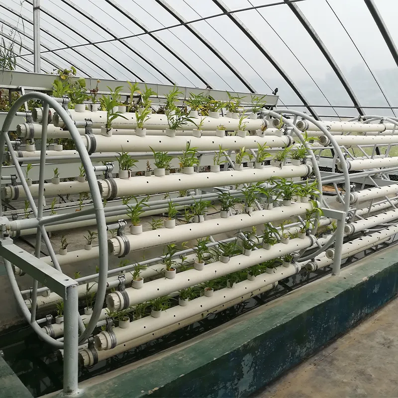 Роторные установки для выращивания