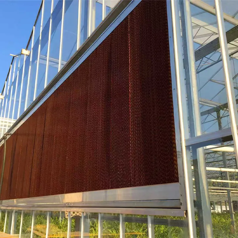 Система вентиляторов и влажных завес для теплиц