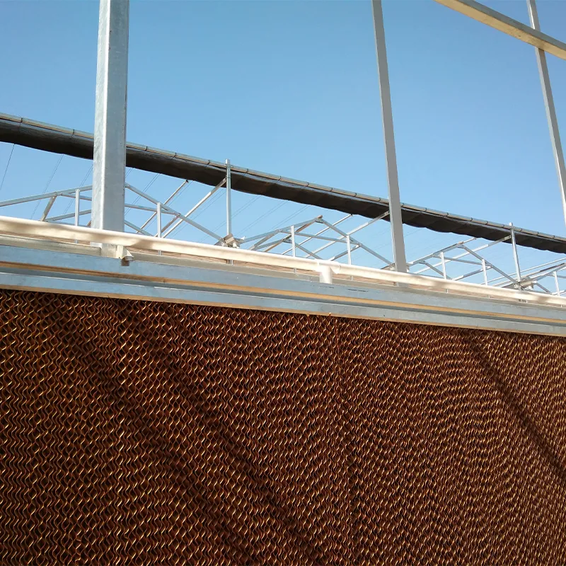 Система вентиляторов и влажных завес для теплиц