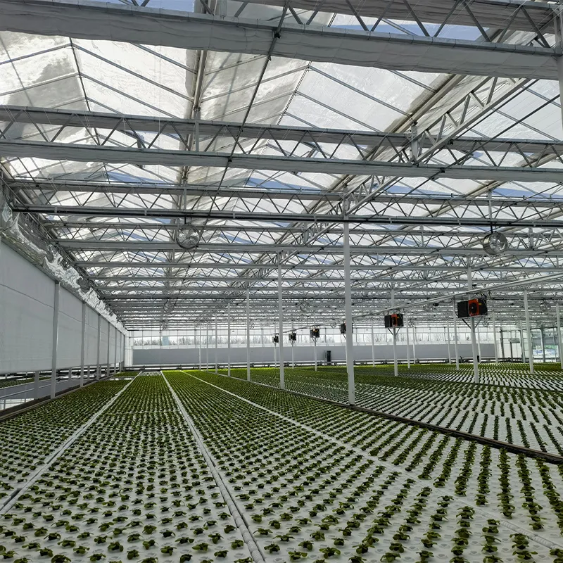 Система выращивания на стеллажах