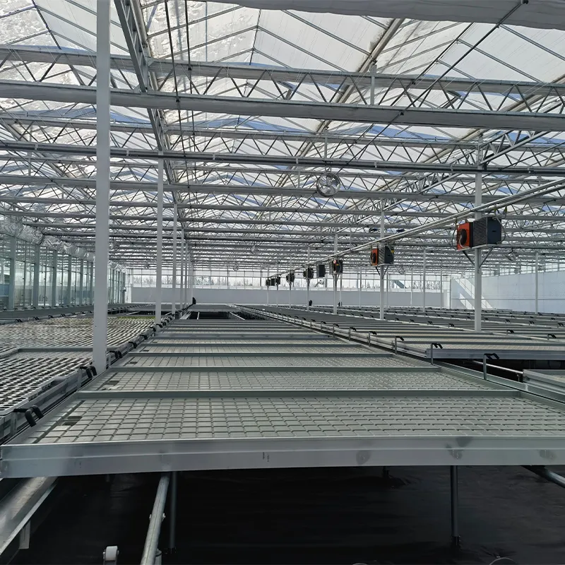 Система выращивания на стеллажах