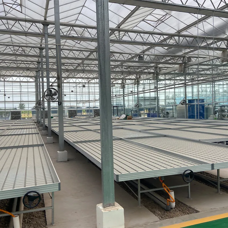 Система выращивания на стеллажах