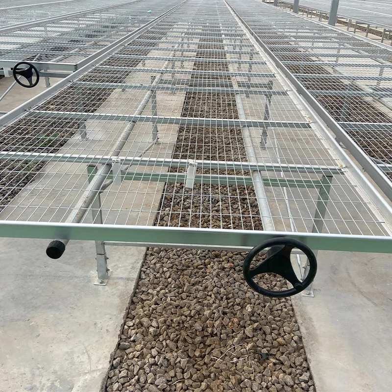 Система выращивания на стеллажах