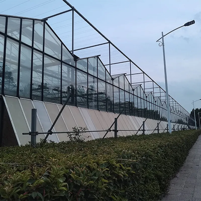 Система откидных боковых окон для теплиц