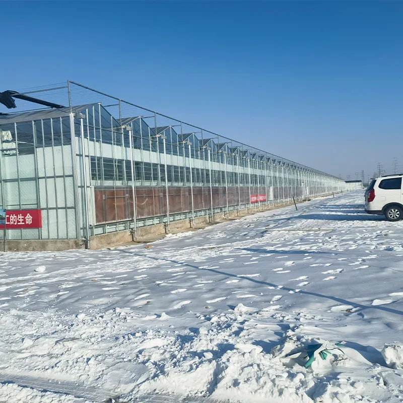 Система подъёмных окон для теплиц